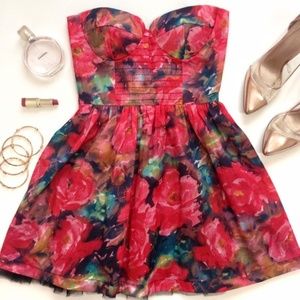 Sans Souci Rose Fit and Flare Dress